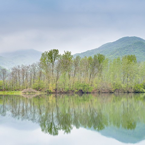 Spring of NengNaRi